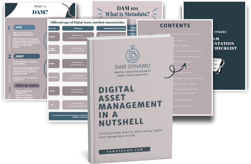 DAM Dynamo PDF bundle on DAM and content clarity